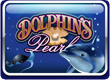 Dolphins Pearl